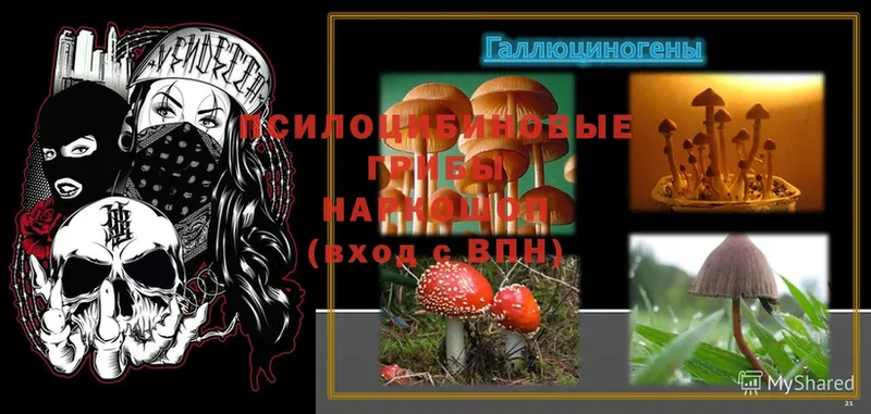 Псилоцибиновые грибы Psilocybine cubensis  ссылка на мегу ТОР  Верхний Уфалей  сколько стоит 